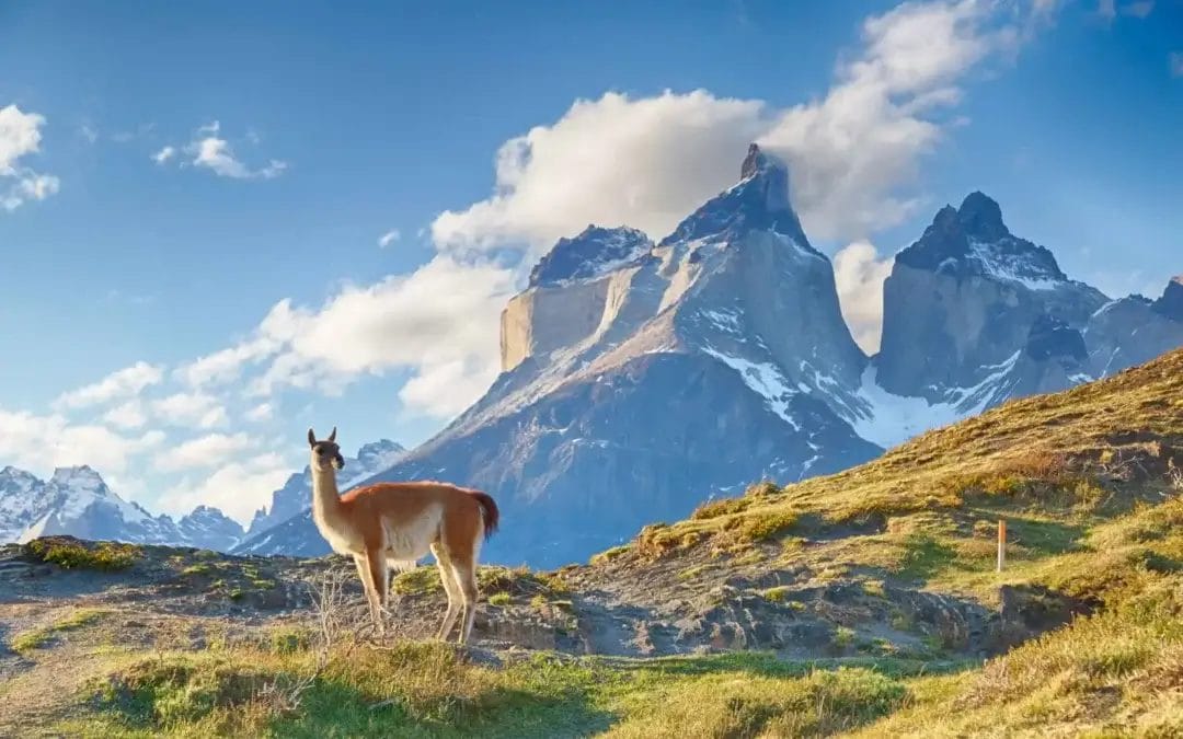 Argentina vs Chile: Andes Climate Guide